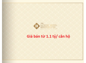 Thị trường bất ngờ về giá bán dự án TMS Luxury Quy Nhơn